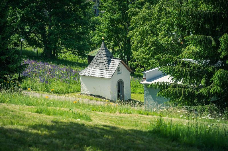 Harmony Hotel Špindlerův Mlýn - Špindlerův Mlýn 4