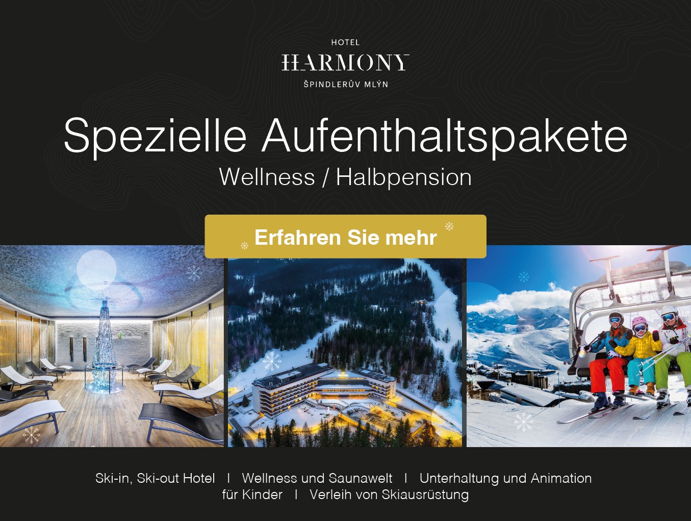 Paket mit Eintritt ins Wellnesscenter und Halbpension